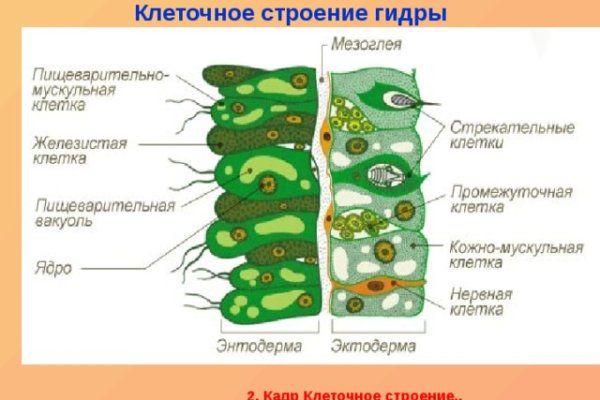 Куплю марихуану бошки гашиш