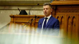 Новое правительство Венгрии перепишет конституцию, чтобы сместить президента — ставленника Орбана